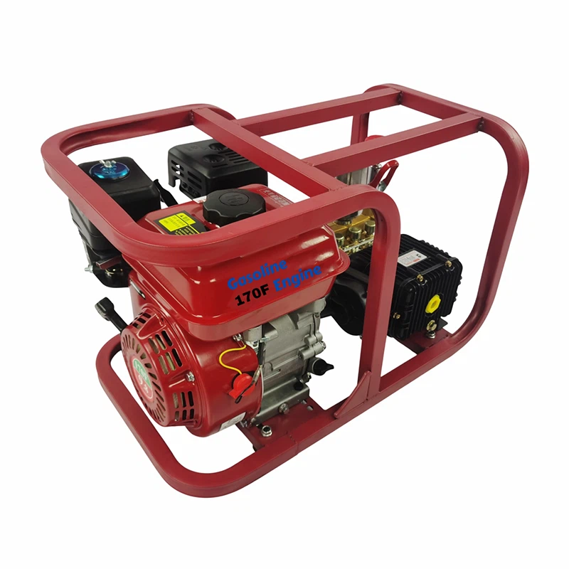 Car Washing Gasoline Engined Sprayer